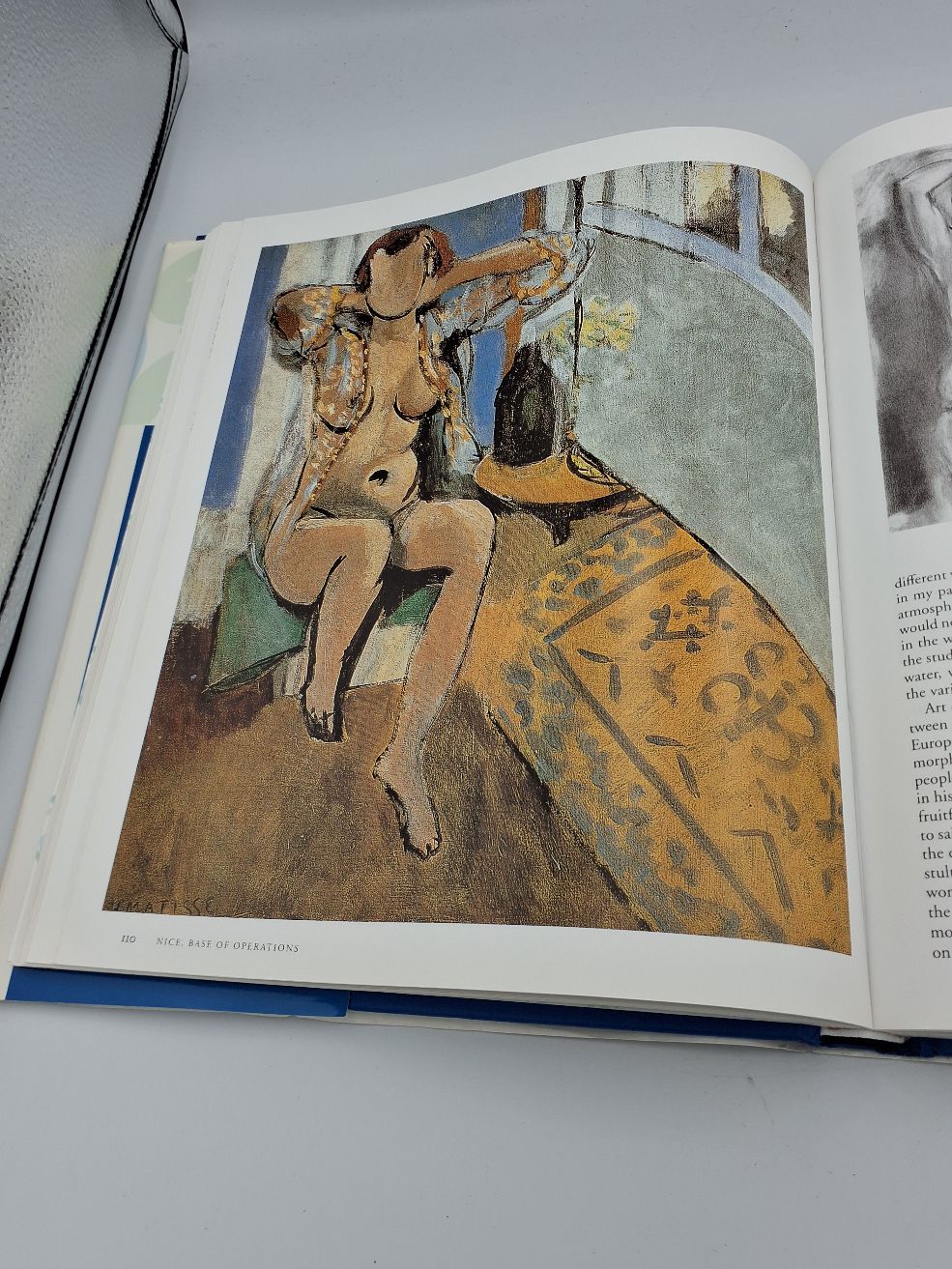 Bog: Matisse